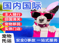 常州奔牛机场空运国际宠物托运 【国